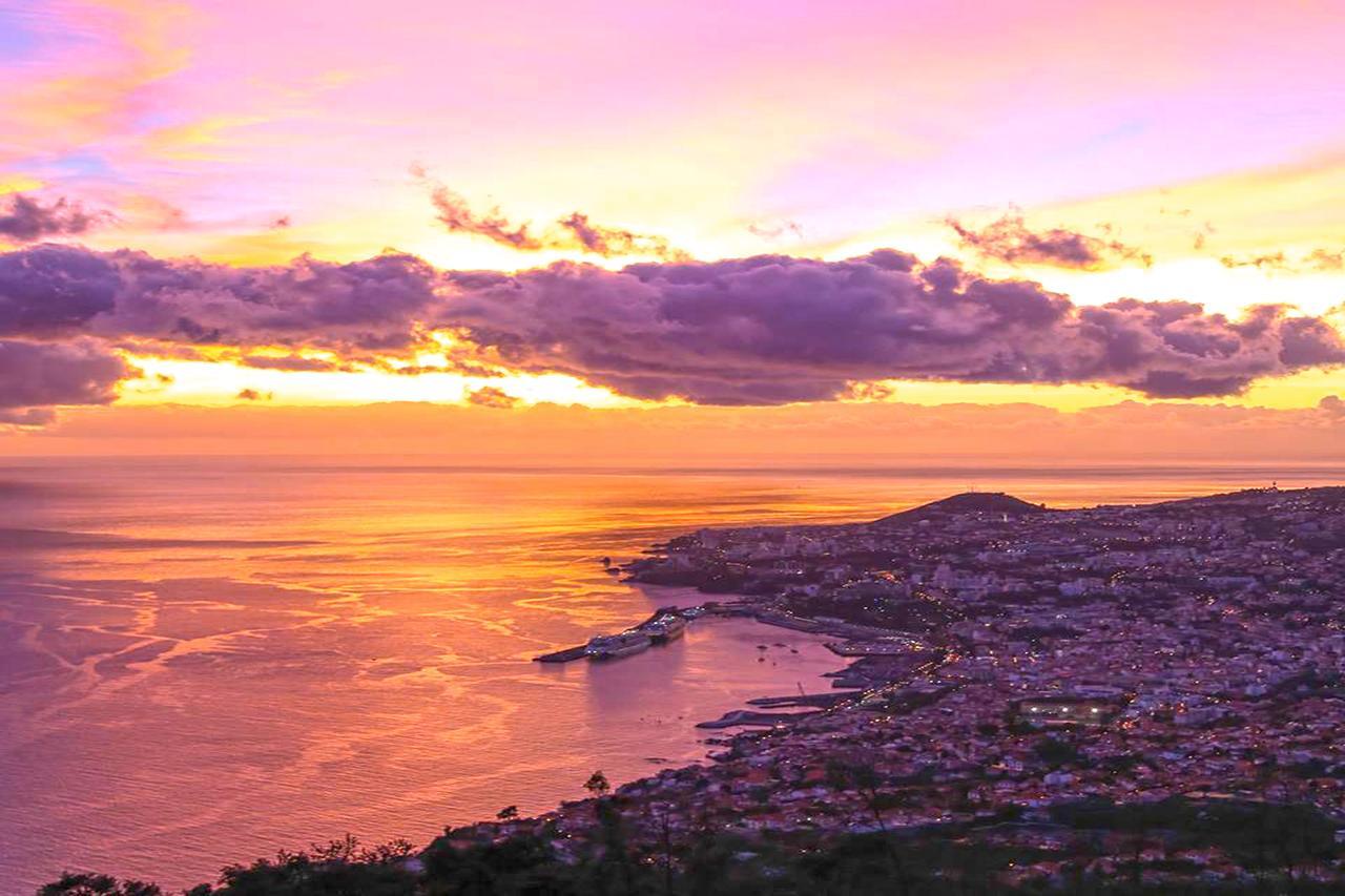 Luxury One Bedroom Palheiro Village By Hr Madeira Funchal  Eksteriør billede
